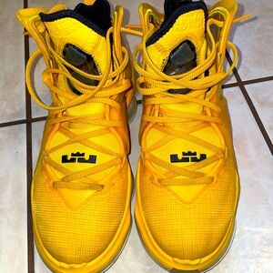 Nike Lebron Hard Hat shoes